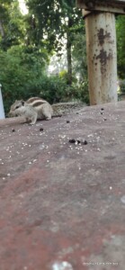 module: a;
hw-remosaic: 0;
touch: (-1.0, -1.0);
modeInfo: ;
sceneMode: Night;
cct_value: 5346;
AI_Scene: (-1, -1);
aec_lux: 242.2352;
hist255: 0.0;
hist252~255: 0.0;
hist0~25: 0.0;